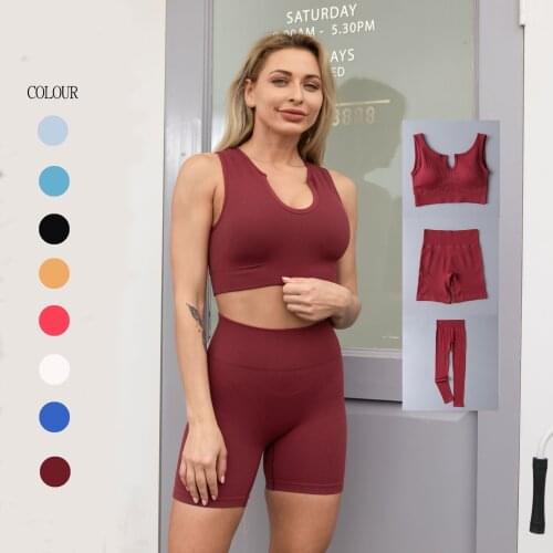 2021 New Yoga Suit Tight High Waist Stretch Fitness Hip Lifting Seamless Sports Suit for Women Sport Set Clothes