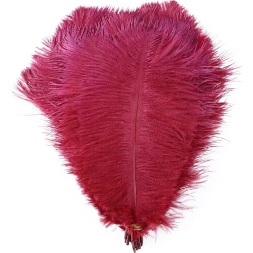 20-25 CM Ostrich Feathers Dyed Colorful Ostrich Feather Wedding Party Dress Decoration Sewing Crafts Plume 10pcs/lot Wholesale