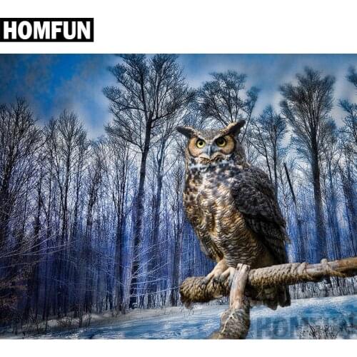 HOMFUN Full Square/Round Drill 5D DIY Diamond Painting "Forest Owl" Embroidery Cross Stitch 5D Home Decor Gift A02381