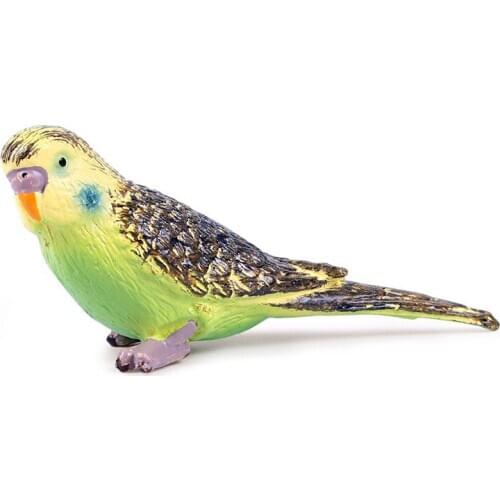 2PC/Set Children solid simulation bird parrot suit model decoration wild static plastic animal world toy