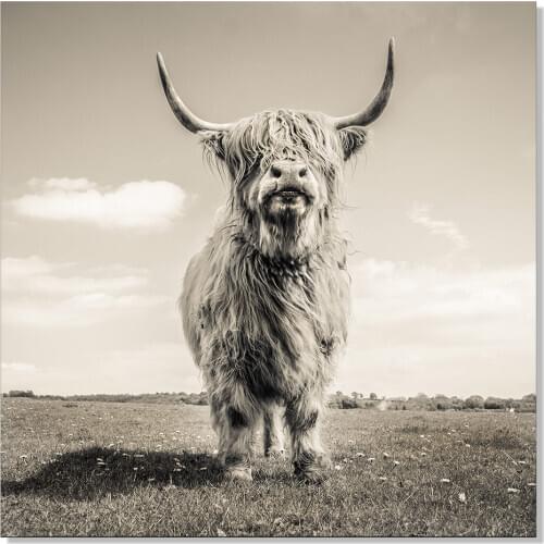 Scandinavian Pop Art Square Nordic Animal Irish Bull Oil Painting Poster Print Paint By Number for Living Rooom Bed Room Decor