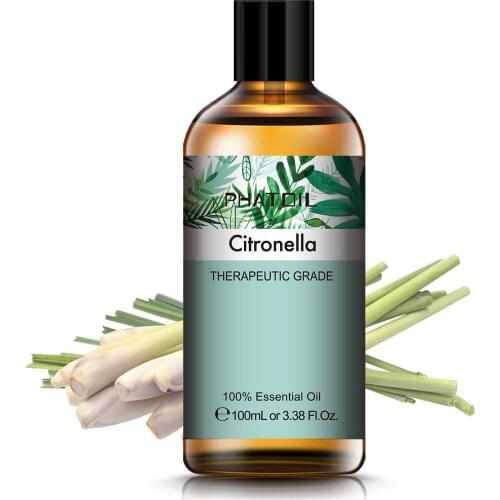 PHATOIL Essential Oils Of Clove