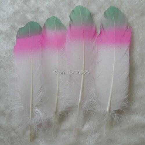 Plume!50Pcs/lot!15-20cm-White Goose Satinettes Feathers with Green Peach Painting-Perfect for Earrings,Bridal Table