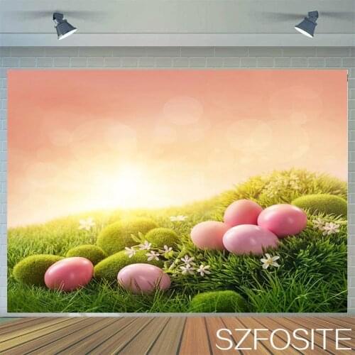 Spring Sunshine Prairie Colored Eggs Easter Backdrop Family Room Decoration Photography Photo Child Birthday Vinyl Background