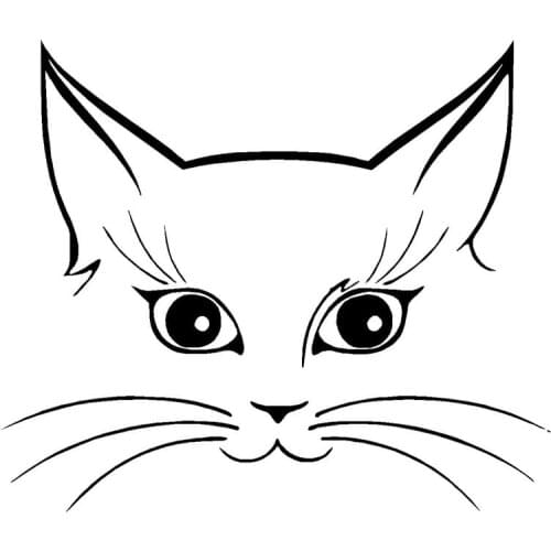 Funny Animal Cute Cat Face Car Sticker 14*12cm vinyl laptop full body window wall Decals car stickers and decals car styling