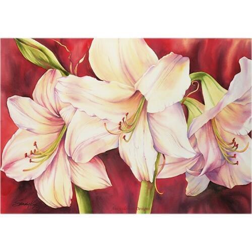 Counted Cross Stitch Kits Needlework Embroidery - Crafts 14 ct Aida DMC Color DIY Arts Homemade Home Decor - Amaryllis in Red