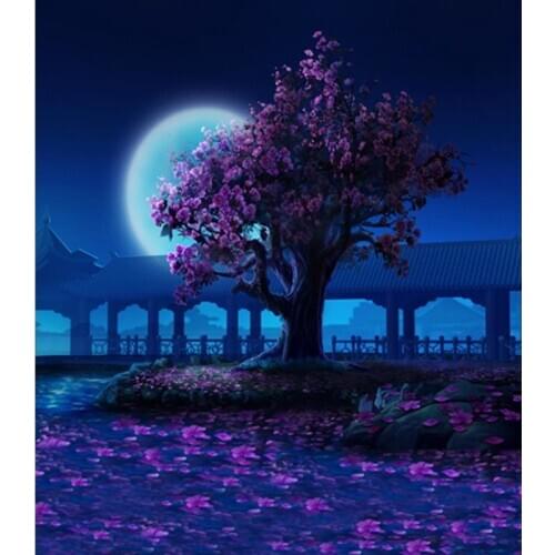 Chinese history drama background photography fotografia fabric newborns photo backdrops for photo studio props photocall CM-6832