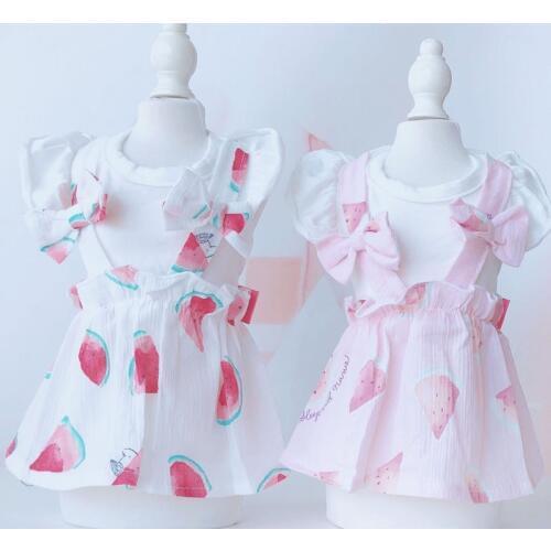 Pet Clothes Dog Dresses For Small Dogs Yorkshire Terrier Watermelon Tshirt Dress Puppy Clothes Pups Sweet Girl Clothing Chihuahu