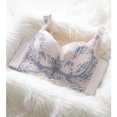 Sexy Lace Embroidered Bra, Soft Steel Ring, Adjustable Underwear, Female Gather-up Breast Bra, Push-up Bra Plus Size Bra