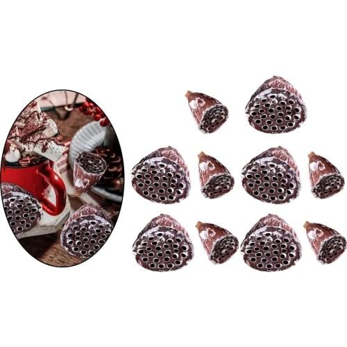 10pcs Natural Dried Lotus Pod Flower Heads Decorative Vase Fillers Home Wreath DIY Christmas Fall Table Photo Props Decor