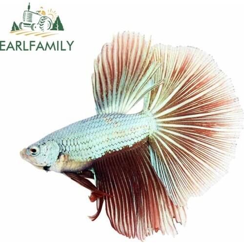 EARLFAMILY 13cm x 11.3cm for Betta Fish Personality Car Stickers Laptop Surfboard Decal Bumper Body for Car Waterproof Decor