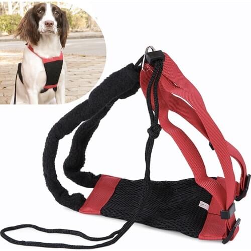 Light Dog Harness and Leash Set Breathable Adjustable Pet Harnesses No Pull Training Vest for Small Medium Large Dogs Supplies