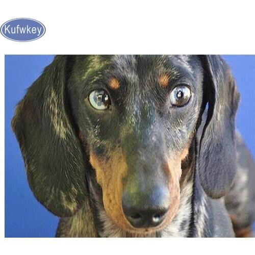 DIY diamond Embroidery Professor Dachshund Mosaic Diamond Painting Cross Stitch full square rhinestone Puppies pet home decor