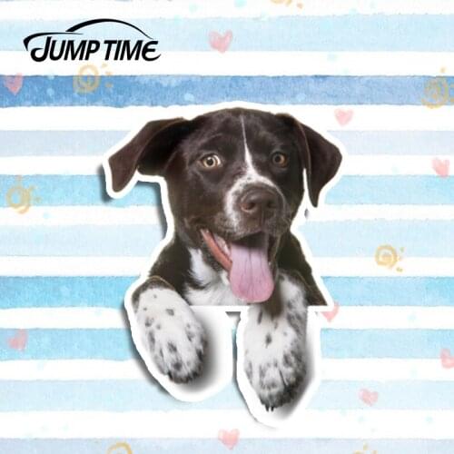 Jump Time 13cm x 9.6cm Funny Pickup Dog Car Stickers Laptop Window Vinyl 3D Car Styling Auto Motorcycle Car Decals Accessories
