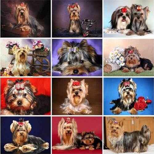 5D DIY Dog Yorkshire Terrier Diamond Painting Cross Stitch Full Round/Square Diamond Embroidery Rhinestone Mosaic Home Decor