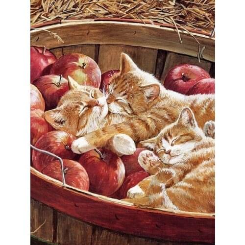 Cat Brother Pattern Diamond Embroidery Diy Needlework 5d Diamond Painting Cross Stitch Full Drill Rhinestones Painting
