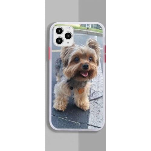 Yorkshire Terrier Dog Soft Cover Phone Case White Transparent Matte For IPhone 7 8 11 12 S Mini Pro X XS XR MAX Plus Cover Shell