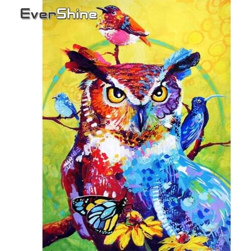 EverShine Diamond Painting Owl Cross Stitch 5D DIY Diamond Embroidery Animals Mosaic Home Decorations Bird Handmade Set