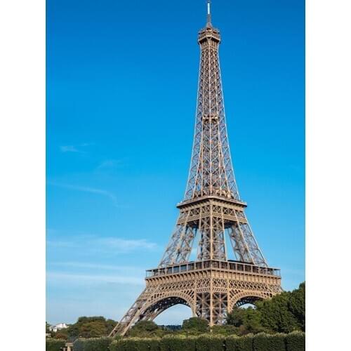 Blue sky Eiffel Tower backgrounds photography art portrait polyester photo backdrops in photo studio props photophone LV-1549