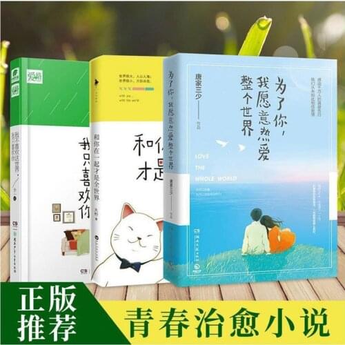 My Story Is A Chinese Sweet Novel for You I Don T Like This World I Only Like Your Youth Romance Novel Tang Jia Shan Shao