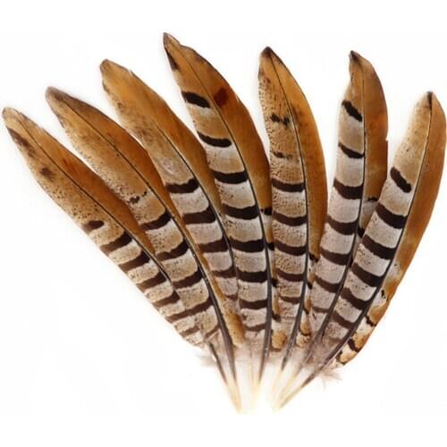 20/50/100Pcs Plumas Party pheasant Feathers Wedding Crafts DIY Plume Natural Real Feathers Small hair Christmas Home Decoration