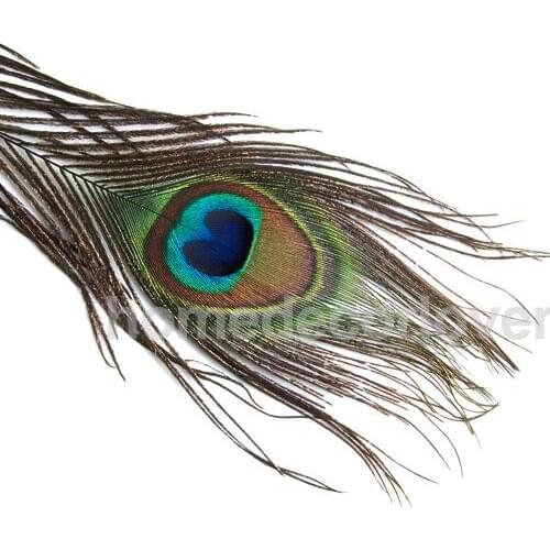 20 Pcs Peacock Eye Tail Feathers for Craft Mask Hat 9-13 Inch