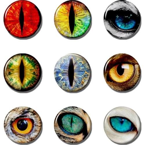 Dragon Eyes Fridge Magnet Cabochons 30 Mm Eye Fridge Sticker Evil Eye Refrigerator Magnets Creative Home Decoration Accessories