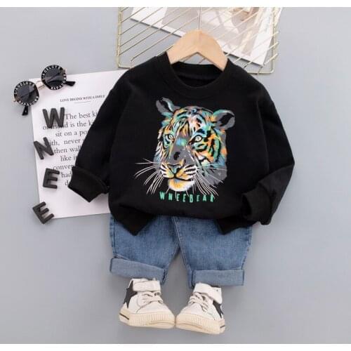 HYLKIDHUOSE Autumn Baby Boys Girls T Shirt Pants Toddler Infant Clothes Outfit Children Cartoon Clothing Sets Kids Sportswear