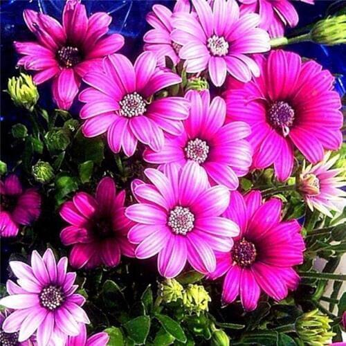 Diy diamond painting cross stitch kits resin pasted painting full round drill needlework Mosaic Home Decor flower