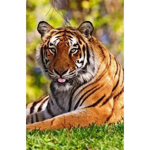 Needlework Diamond Mosaic Diamond Embroidery Tiger Kits Embroidery Beads Patchwork Accessories Crafts