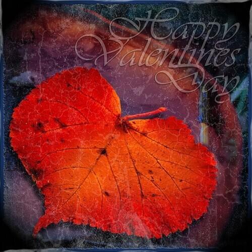 DIY 5D Diamond Mosaic Handmade Diamond Painting Cross Stitch Kits Diamond Embroidery Red leaf Pattern Rhinestone decor gif AS359