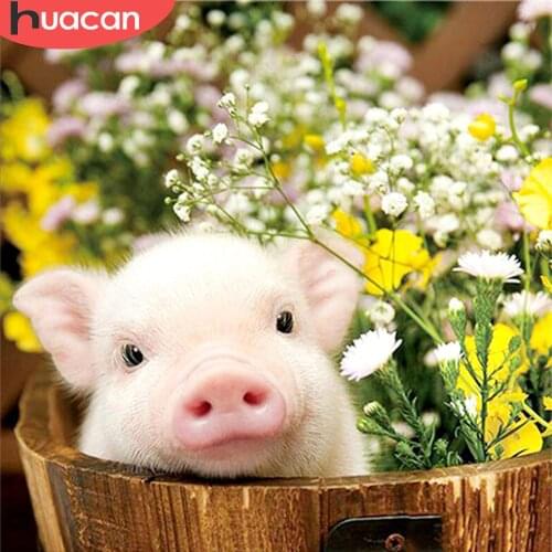 HUACAN 5D DIY Diamond Painting Pig Full Square Round Drill Diamond Embroidery Animal Cross Stitch Kit Needlework Home Decor