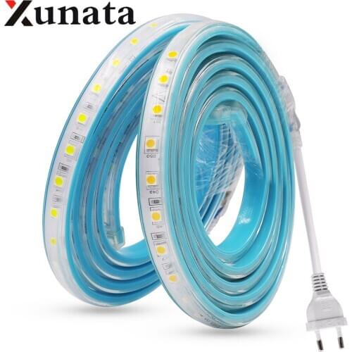 LED Strip 220V 240V EU plug Waterproof Engineering lights 60leds/m 5050 Flexible Tape Ribbon LED Light Strip Pink/Blue/Red/White