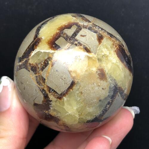 High Quality Rare Septarian nodule Fossil Crystal Sphere Ball Natural crystal turtle stone ball for home decoration