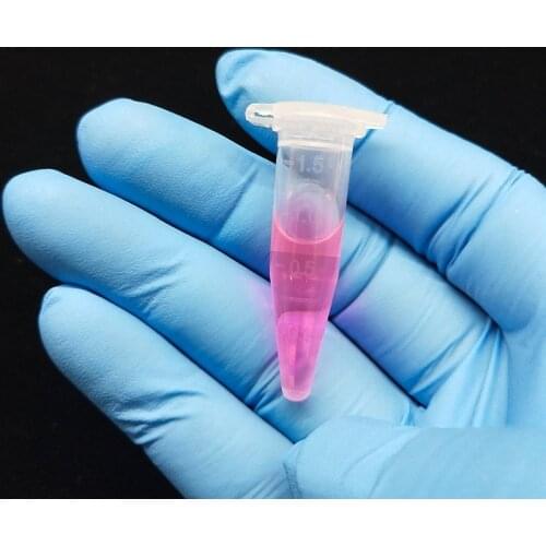 100pcs Mini Plastic Test Tubes with Cap Transparent Plastic 1.5ml Micro Tips Centrifuge Tubes Container for Sample Vials Bottle