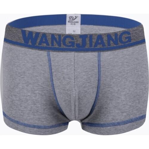 2019 NEW brand mens boxers cotton sexy men underwear mens underpants male panties shorts U convex pouch for gay