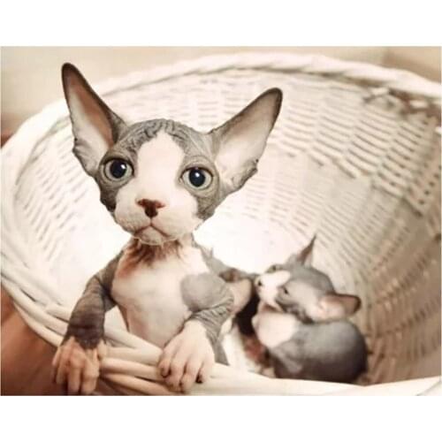 Full Drill square Diamond Embroidery cute pet 5D Diy Diamond Painting mosaic Sphynx Cat Animal Pattern Cross Stitch KitsZP-1303