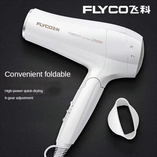 Flyco Hair Dryers