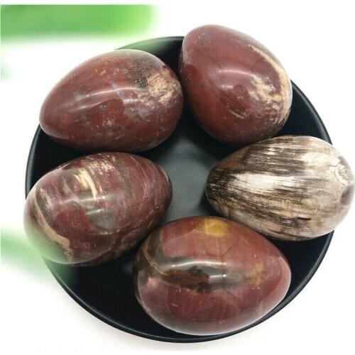 1PC Natural Crystal Fossil Wood Quartz Egg Shaped Healing Decor Natural Quartz Crystals