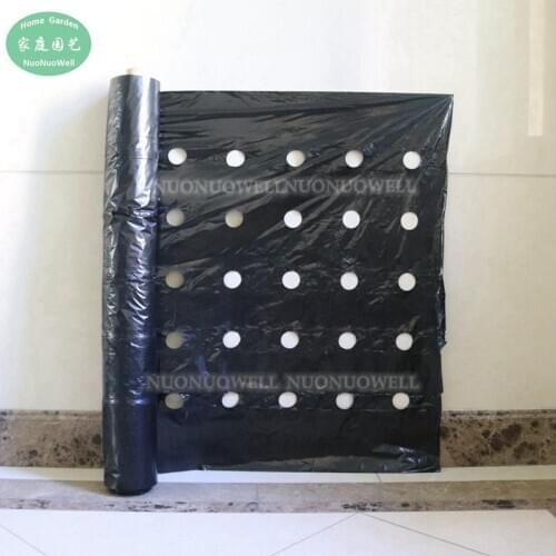 Wholesale 600m/Roll 5-Hole Black Film Perforated Plastic Mulch Film Agricultural Plants Planting Grow Film Weed Barrier Film