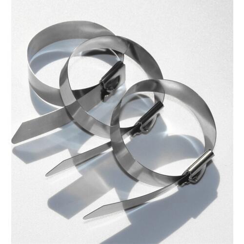 500pcs/lot 10 inch 4.6mm x 250mm Thickness 2.5mm Best 304 Grade colorful self locking Stainless Steel cable ties