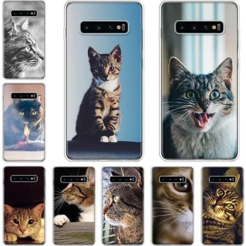Cats head tilts to kill cute Phone Case For Samsung Galaxy A71 A70 A51 A50 A41 A40 A30 A21 A10 A01 A90 A20S A20E A10S M30S A6 A