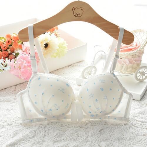 Women Double Push Up Bras Women Underwear Bra Super Push Up Bra Sexy Underwear Gather Sexy Push Up Bra For Women Plus Size