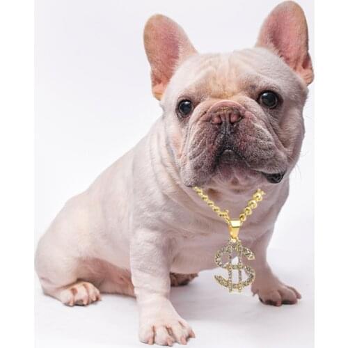 US Dollar Pendant Necklaces for Dogs Hip-hop Style Big Gold Chain Long Alloy Chain Pitbull Pet Dog Collar Jewelry Accessories