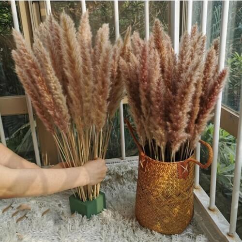 15pcs 60cm Natural Pampas Flower INS Style Dried Flowers Balcony Living Room Boho Decor Moderne Plant Decoration Wedding