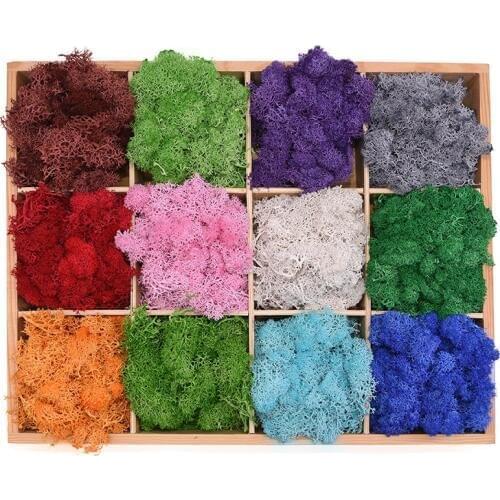 20/40g Artificial Plants Eternal Life Moss DIY Resin Flower Material Micro Landscape Accessories Wedding Garden Home Decor Moss