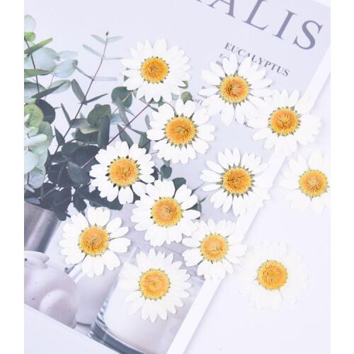 24pcs,Natural Pressed Flowers head,Real Chrysanthemum for DIY Wedding invitations Art bookmark Craft Cards,Scented candles