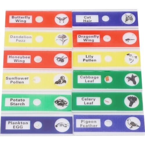 12 Pcs Plastic Microscope Slides Biological Specimen Toys For Children Creative Enlighten Learning Education Toys