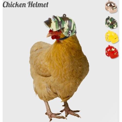Pet Helmet Funny Chicken Helmet Head Protection Compact 1PC Bird Hen Ducks Small Chicken Hat Pet Accessories Products