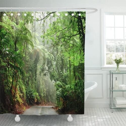Green Rainforest Daintree National Park Queensland Australia Brazil Hiking Shower Curtain Waterproof Fabric 72 x 72 Inches Set